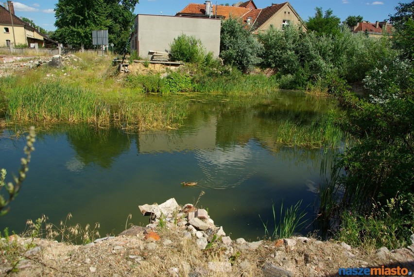 Galeria Goplana - Leszno ma być gotowa do końca 2015 roku.