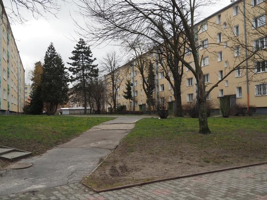 Łódź. Policjanci zabawiali się z nastolatkami? Jest reakcja komendanta miejskiego! Co się działo w mieszkaniu na Dąbrowie?