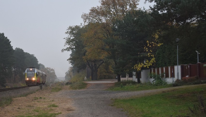 Czy W Zielonej Górze powstaną cztery dodatkowe przystanki...