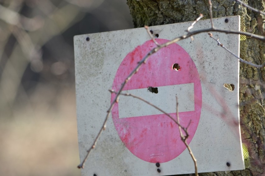 Strzelnica w Oborze na cenzurowanym!