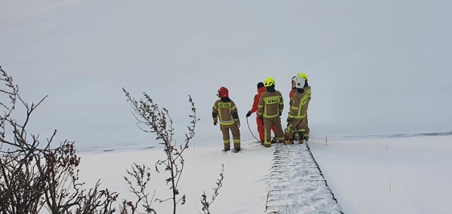 Akcja strażaków ochotników z Mietkowa, ratowali czaplę na Zalewie Mietkowskim