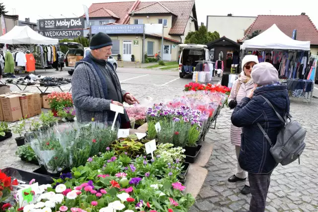 Mamy dla Was aktualne ceny z targowiska w Żninie. Tyle zapłacimy wiosną 2024 za kwiaty doniczkowe i do gruntu oraz za sadzonki  popularnych warzyw i ziół. Zobaczcie w galerii >>>