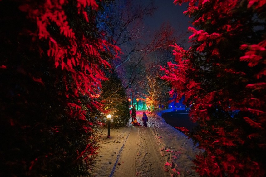 Zdjęcie z parku iluminacji realizowanego przez wrocławską...