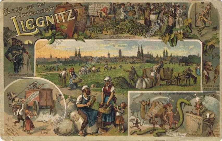 Pozdrowienia z miasta ogórków. Karta pocztowa z 1907 r. ze...
