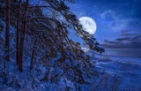 Zimny Księżyc na grudniowym niebie. Czy pełnia Księżyca wpływa na zdrowie człowieka? Przedstawiamy fakty i obalamy mity związane z pełnią 