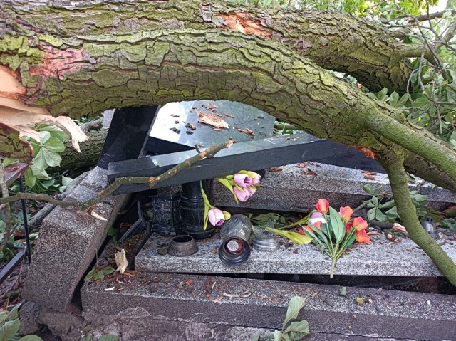 Złamane drzewo uszkodziło pomniki na cmentarzu na Antczaka w Toruniu