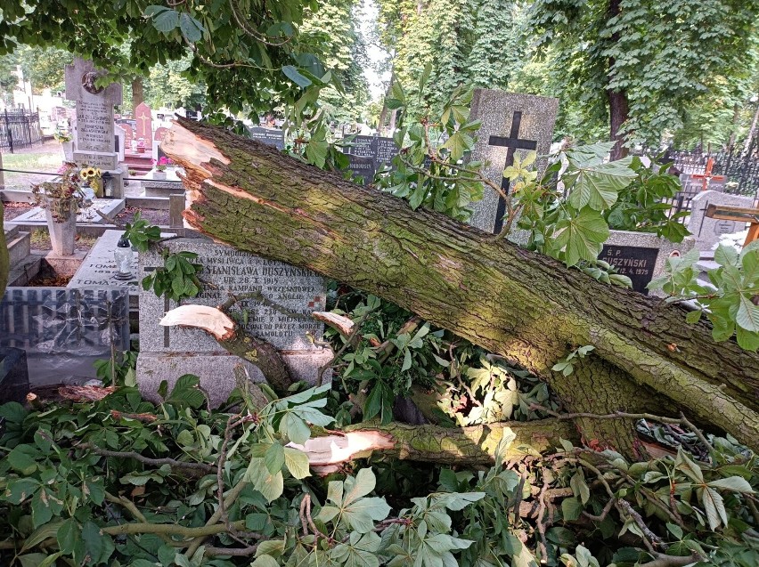 Złamane drzewo uszkodziło pomniki na cmentarzu na Antczaka w...