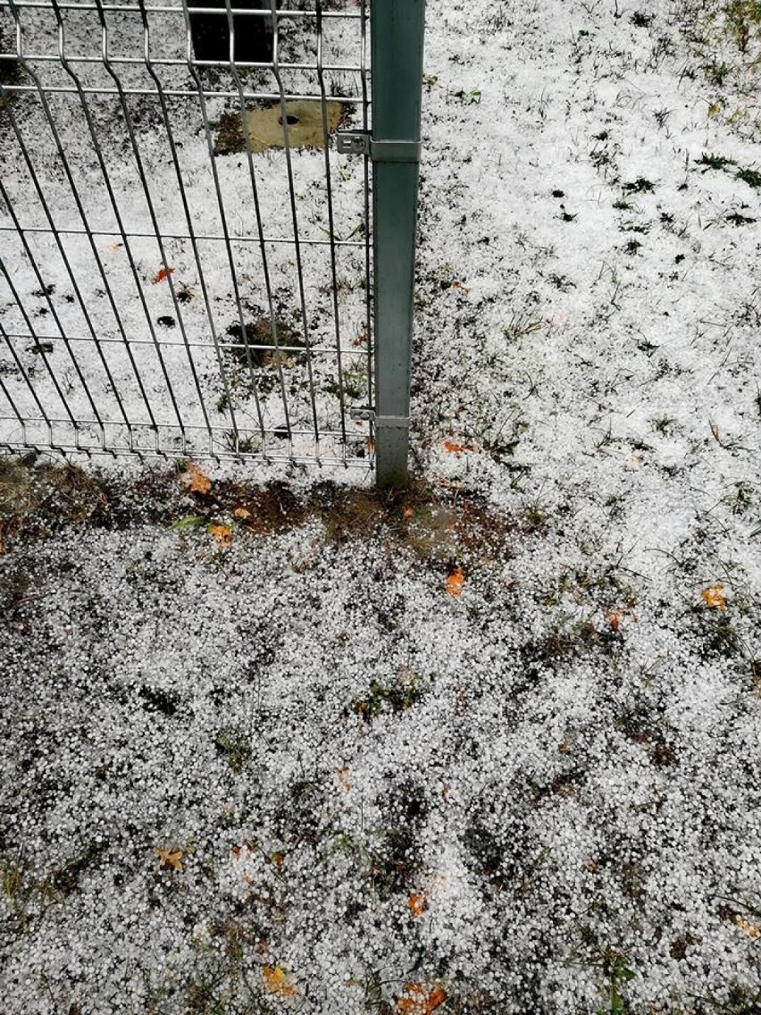 Jaki informuje portal Info Meteo - Elbląg przez Skowronki...