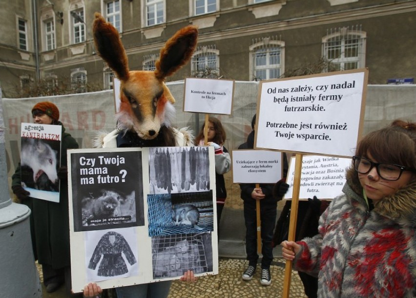 Dzień bez futra i protest miłośników zwierząt [zdjęcia]