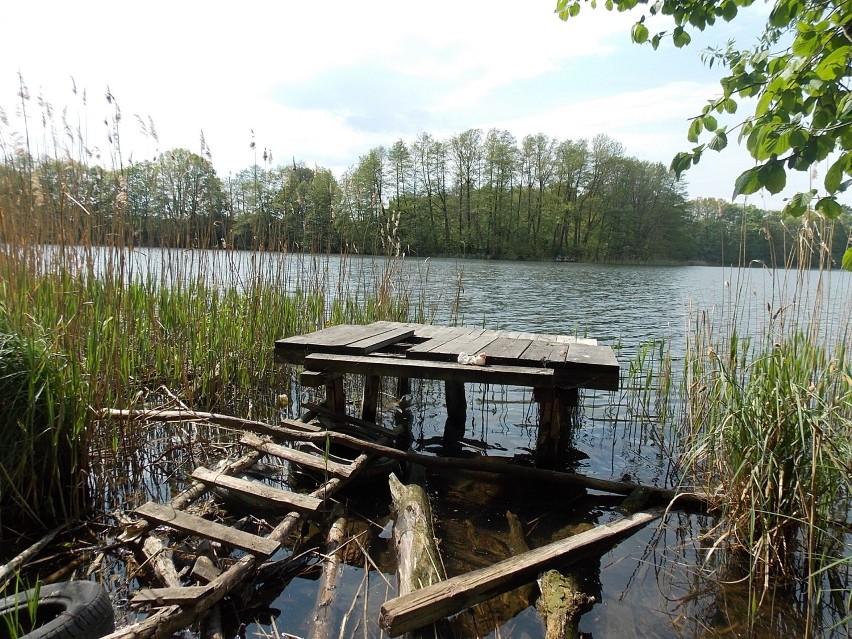 Moja trasa na Kłodawę i sama Kłodawa to piękne ścieżki,...