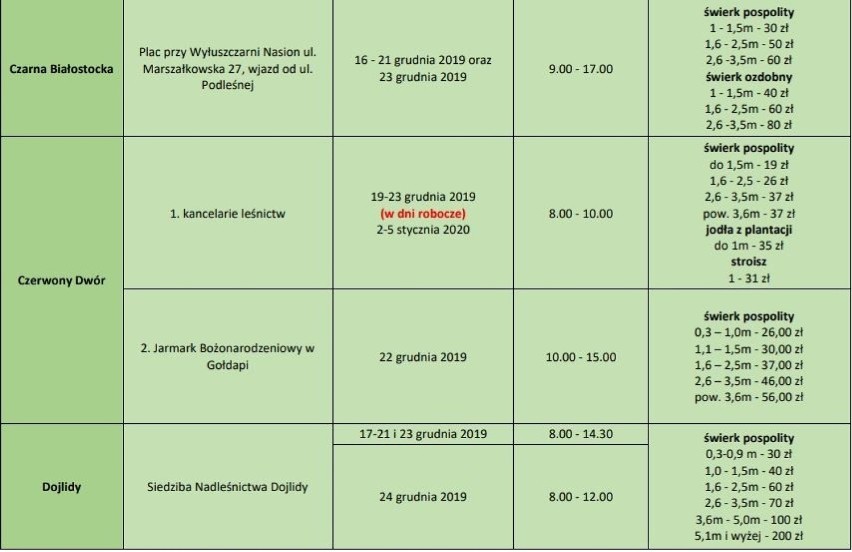 Świąteczne choinki z podlaskich nadleśnictw. Planujesz zakup? Sprawdź ich ceny