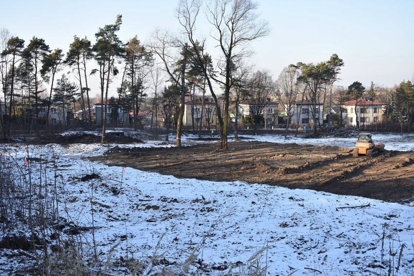 Park Czarna Góra z oazy zieleni zmienia się w betonową pustynię