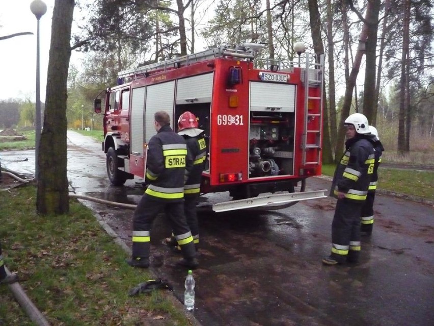 55 strażaków ćwiczyło przy stawie Gwaruś i w lesie - ZDJĘCIA