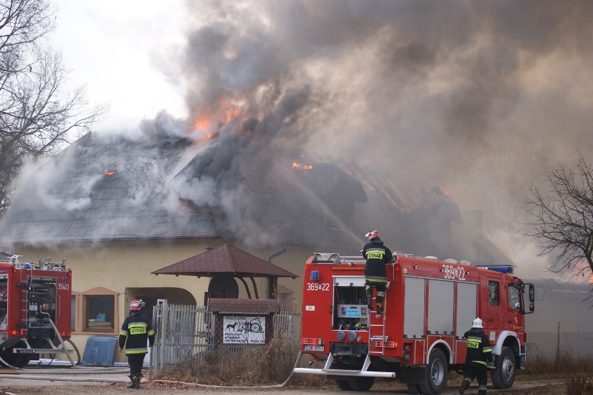 Pożar w Rudzie koło Skierniewic [ZDJĘCIA]