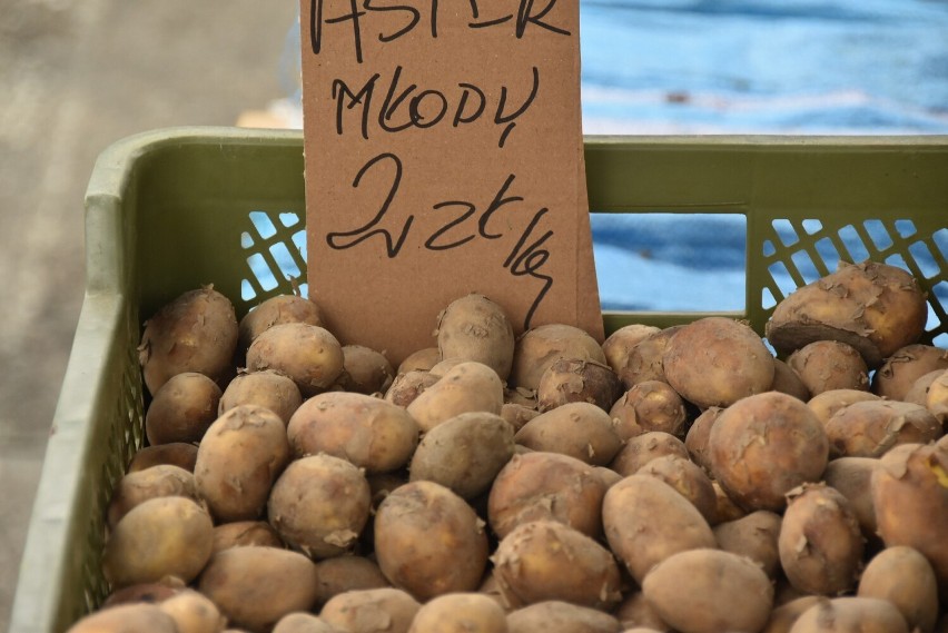 Młode ziemniaki można kupić już za 2 zł/kg.