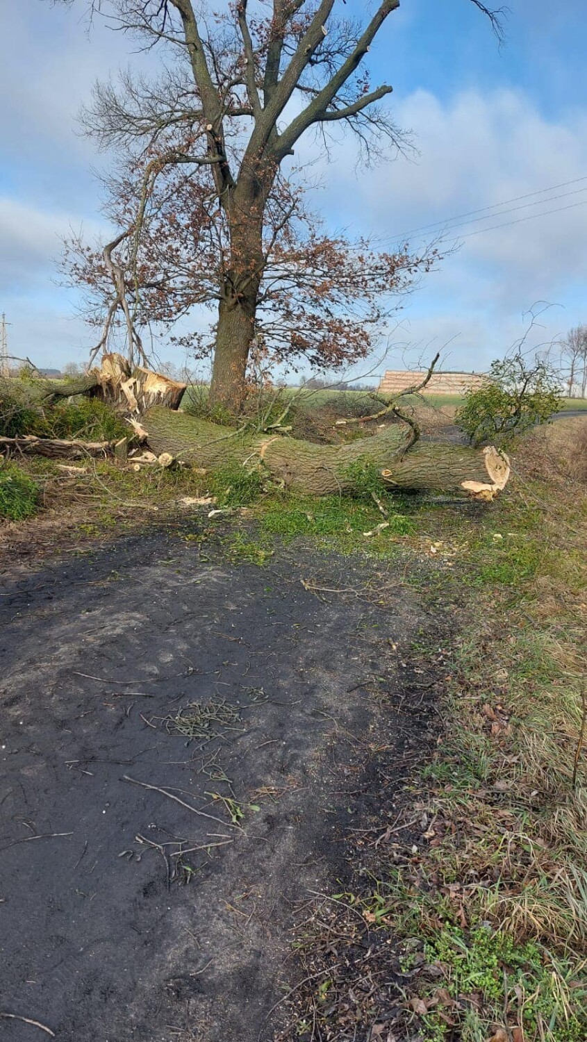 Wichura w powiecie obornickim. Strażacy interweniowali 8 razy [ZDJĘCIA]