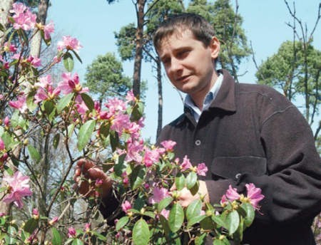 Piotr Banaszczak, kierownik rogowskiego arboretum, prezentuje kwitnące krzewy.