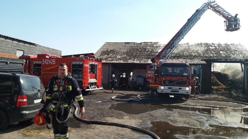 Pożar w Zbiersku. Płonął budynek na terenie jednego z gospodarstw. ZDJĘCIA