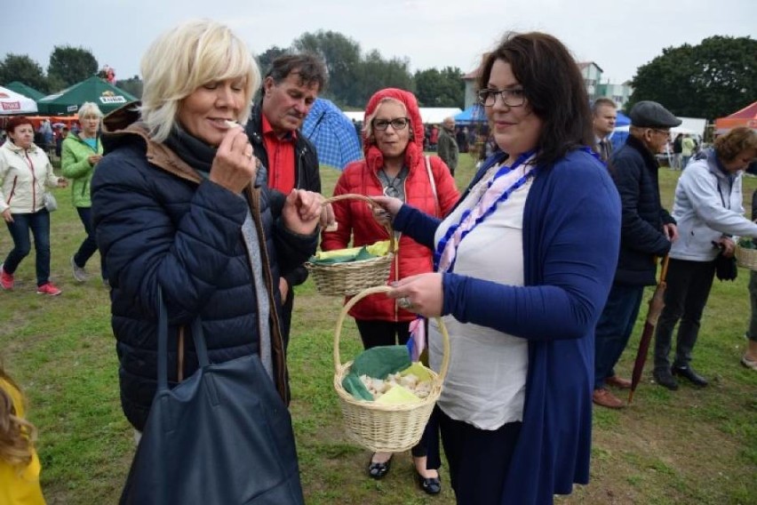 Powiat nowodworski. W regionie rozpoczyna się czas...