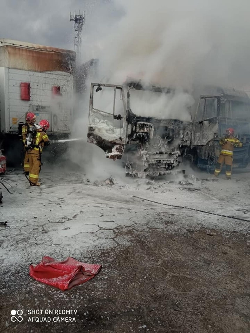 Strażacy z Dębicy gasili pożar ciągnika siodłowego i naczepy na terenie firmy transportowej [ZDJĘCIA]