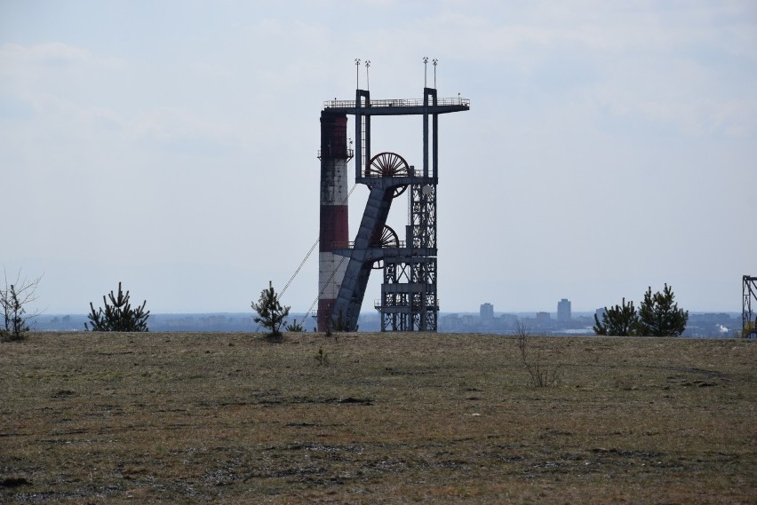 Hałda w Kostuchnie
Góruje nad okolicą. Jest wielka,...