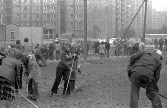 Mieszkańcy Osiedla Lazurowa (obecnie Rozłogi) w czynie społecznym porządkują teren osiedla (Jelonki Południowe – MSI). Rok 1978