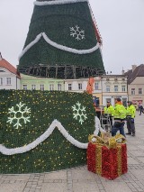 W Darłowie montują świąteczną choinkę na rynku przed ratuszem ZDJĘCIA