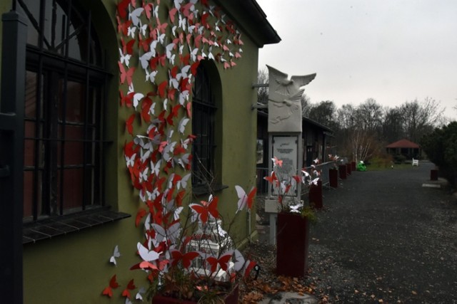 Legnickie Mini Zoo kusi już od samego wejścia. Zostało pięknie udekorowane! 

Palmiarnia i Mini Zoo w Legnicy znajdują się w zabytkowym parku Miejskim w centrum miasta. W Palmiarni zajdziemy roślinność z różnych stref klimatycznych oraz egzotyczne ptaki. Palmiarnia powstała pod koniec lat dziewięćdziesiątych XIX wieku.