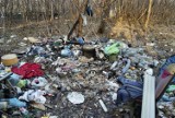 Ul. Poligonowa: Podrzucanie śmieci na porządku dziennym