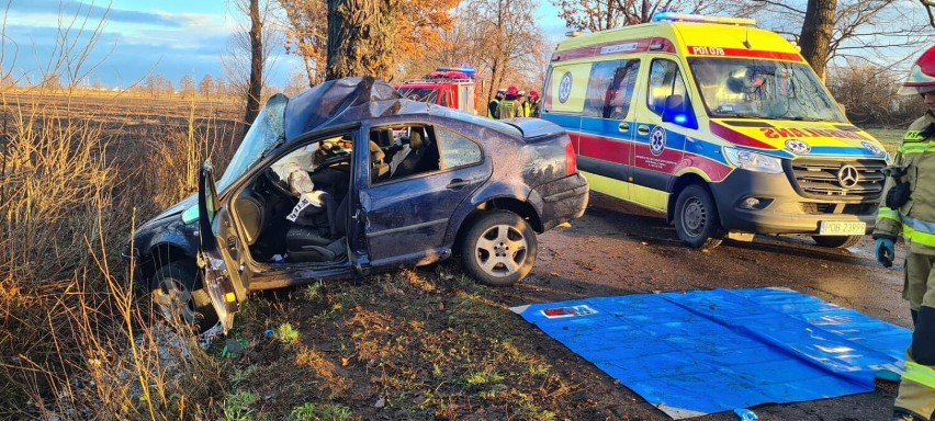 Wypadek w gminie Rogoźno. Mężczyzna wbił się w drzewo. Na miejscu lądował LPR [ZDJĘCIA]