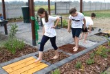 Nowy, wyjątkowy ogród przy szkole w Przeczycach