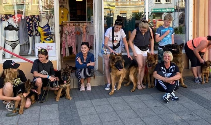 Zdjęcia piesków z Nowej Soli i okolicy. Prawda, że cudne i...