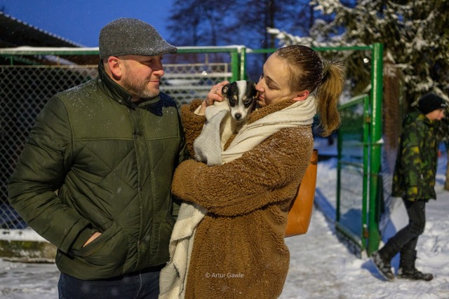 W niedziele popołudnie sporo psiaków z Tarnowskiego Azylu powędrowało do nowych domów.