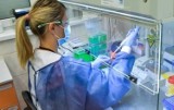 Krew dawców z Wrocławia posłuży do produkcji leku na koronawirusa