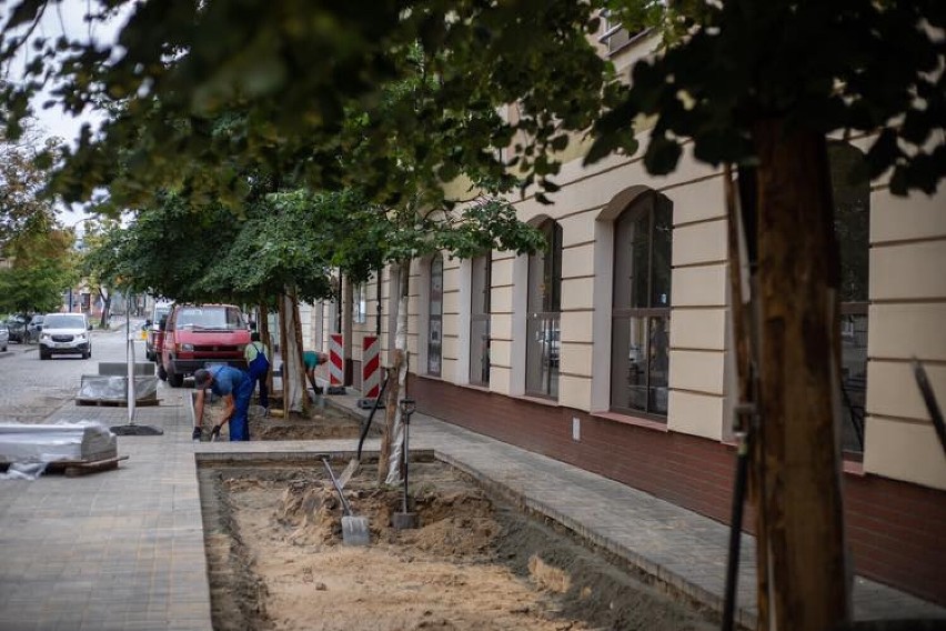 Zieleń zamiast betonu. Ruszyło rozbetonowywanie kolejnej ulicy w Płocku. Prace prowadzone są na ulicy Bielskiej 