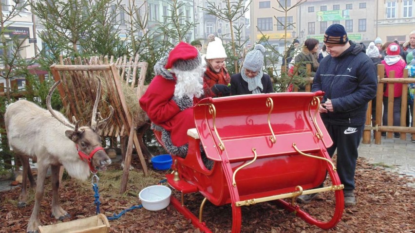  Mikołaj na Rynku w Oświęcimiu. Tłumy były zobaczyć renifery i spotkać się z darczyńcą