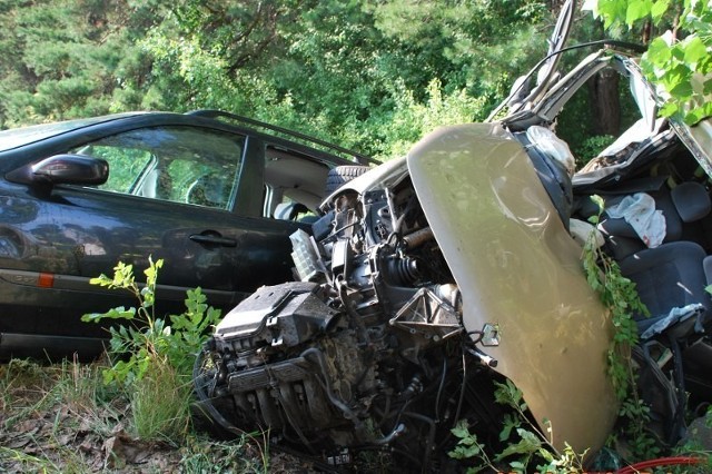 Zawiercie, 7 sierpnia 2012 roku
Około godz. 16.30 na skrzyżowaniu ulic Glinianej i Przyjaźni zderzyły się dwa samochody marki renault laguna. 43-letni mieszkaniec Katowic wjechał na skrzyżowanie, nie udzielając pierwszeństwa przejazdu jadącej ulicą Glinianą &#8222;osobówce&#8221;. Uderzony samochód zjechał na pobocze, gdzie następnie uderzył w drzewo i przewrócił się na bok. Strażacy musieli użyć specjalistycznego sprzętu, aby uwolnić uwięzione w pojeździe osoby. Ciężko ranną dziewczynkę przetransportowano helikopterem do szpitala w Katowicach, gdzie niestety nie udało jej się uratować.