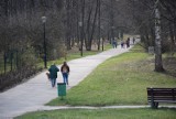 Lockdown a Park Śląski od 27 marca. Czynne będzie śląskie zoo, skansen, a nawet pojedziemy kolejką linową "Elka"