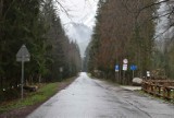 Tatry. Czy to szlak do Morskiego Oka? Jest zupełnie pusty