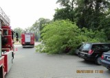 Niespokojny dzień dla straży pożarnej