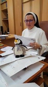 Siostry dominikanki z Broniszewic rozesłały już wszystkie 56 pingwinków do nowych właścicieli