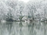 Bajkowe Jezioro Szmaragdowe w Szczecinie w zimowej scenerii. Zobacz zdjęcia! 