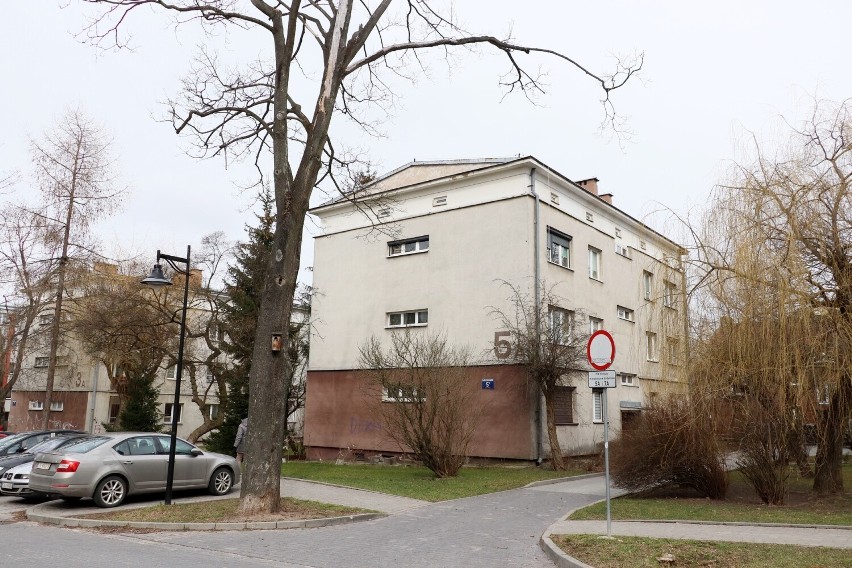 Wytną drzewa w centrum Kielc, ale mniej niż planowano. Marszałek nie wydał zgody na wszystkie 