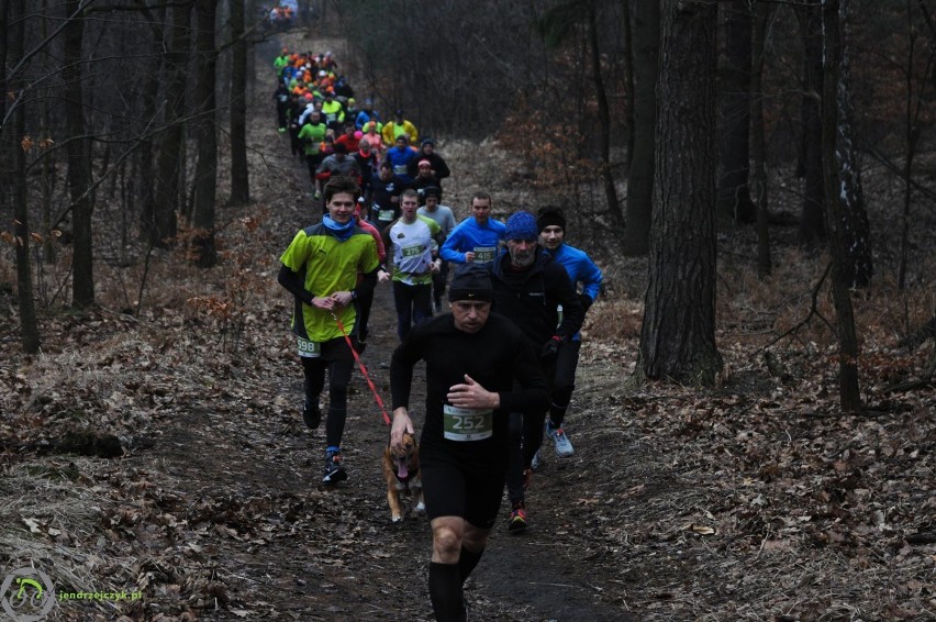 City Trail w Katowicach - zdjęcia z finałowego biegu [28 luty 2016]