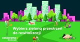 Elbląg. Wybierz zieloną przestrzeń do rewitalizacji w mieście