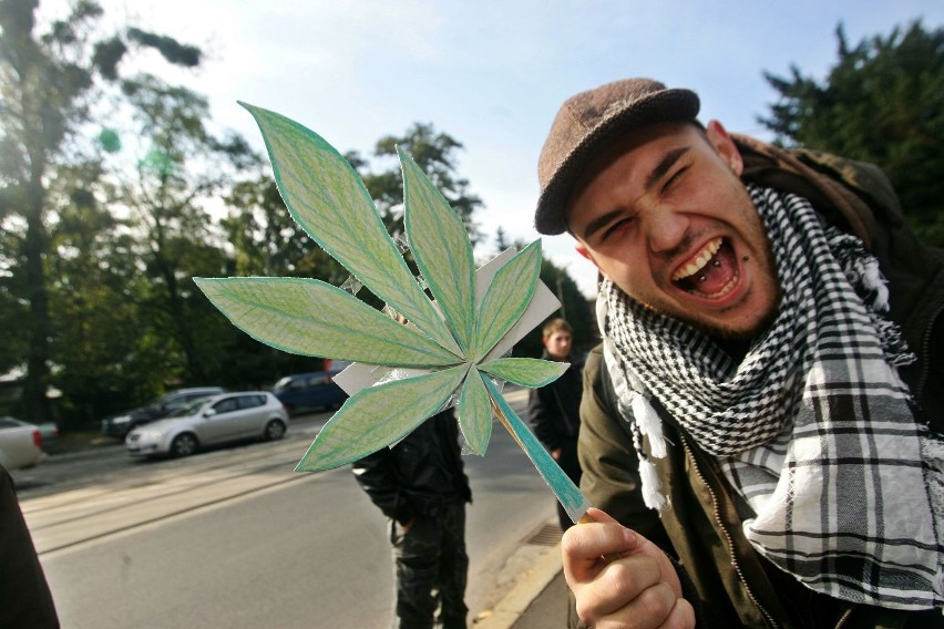 17 lutego będą palić marihuanę pod Sejmem