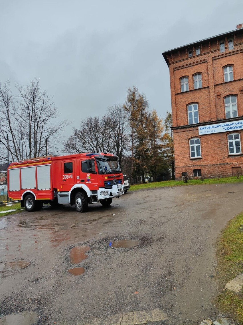 Nietypowe interwencje strażaków z Wałbrzycha. Mężczyzna uwięziony w windzie, a sarna zakleszczona w płocie