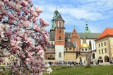 Kwitną ogrody królewskie na Wawelu [ZDJĘCIA]