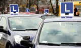 DG: 578 zarzutów dla właściciela dąbrowskiej szkoły nauki jazdy. Załatwiał prawa jazdy za pieniądze 