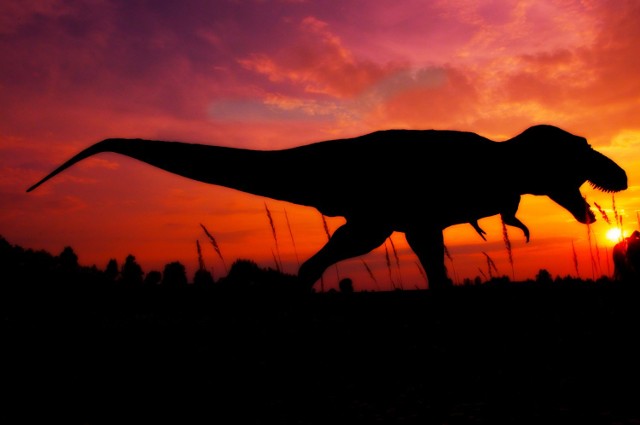 Nocne tajemnice dinozaurów będzie można odkryć w ramach nocy muzeów w Krasiejowie